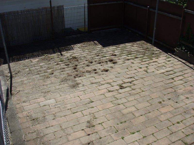 16 Gumtree Lane, Thirroul NSW 2515