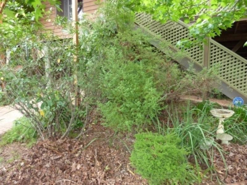 39 Athol Street, Woonona NSW 2517