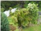 24 Beattie Avenue, Bulli NSW 2516