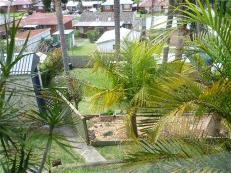 23 Hillcrest Avenue, Woonona NSW 2517