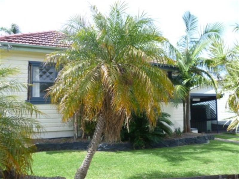 23 Hillcrest Avenue, Woonona NSW 2517