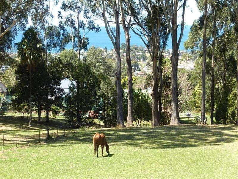 55 Princes Highway, Thirroul NSW 2515