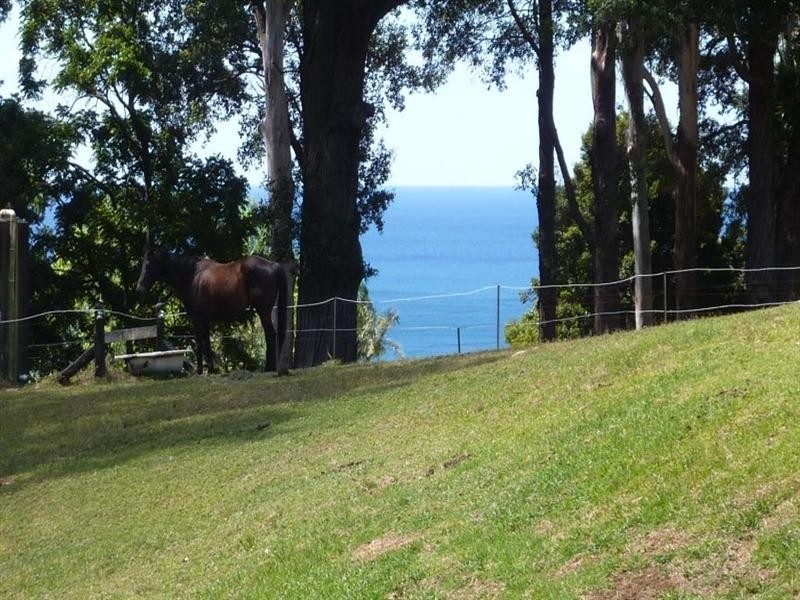 55 Princes Highway, Thirroul NSW 2515