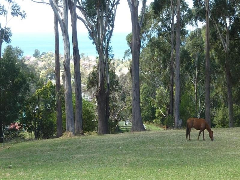 55 Princes Highway, Thirroul NSW 2515