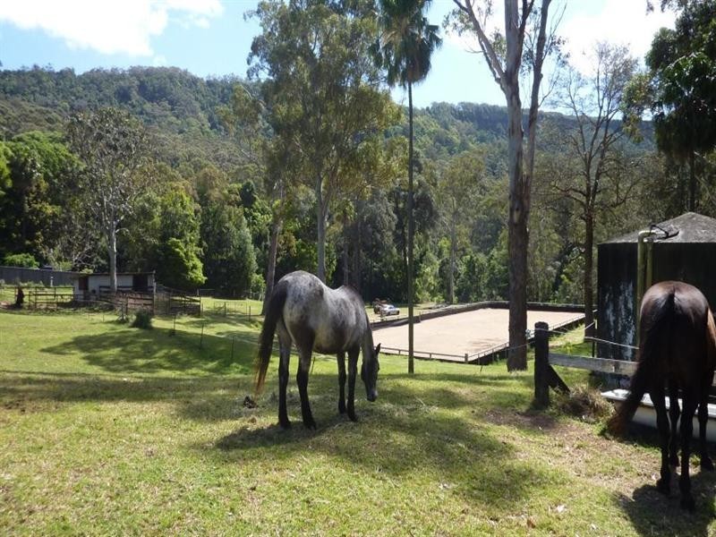 55 Princes Highway, Thirroul NSW 2515