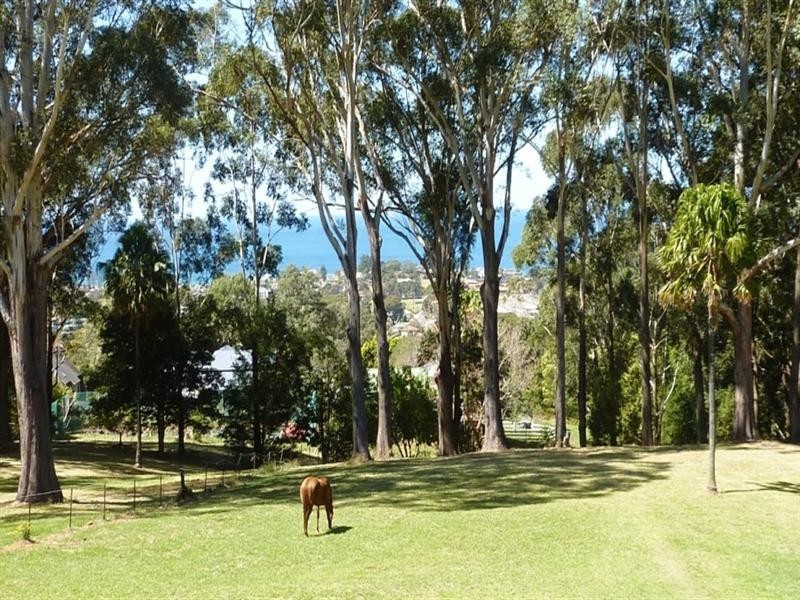 55 Princes Highway, Bulli NSW 2516