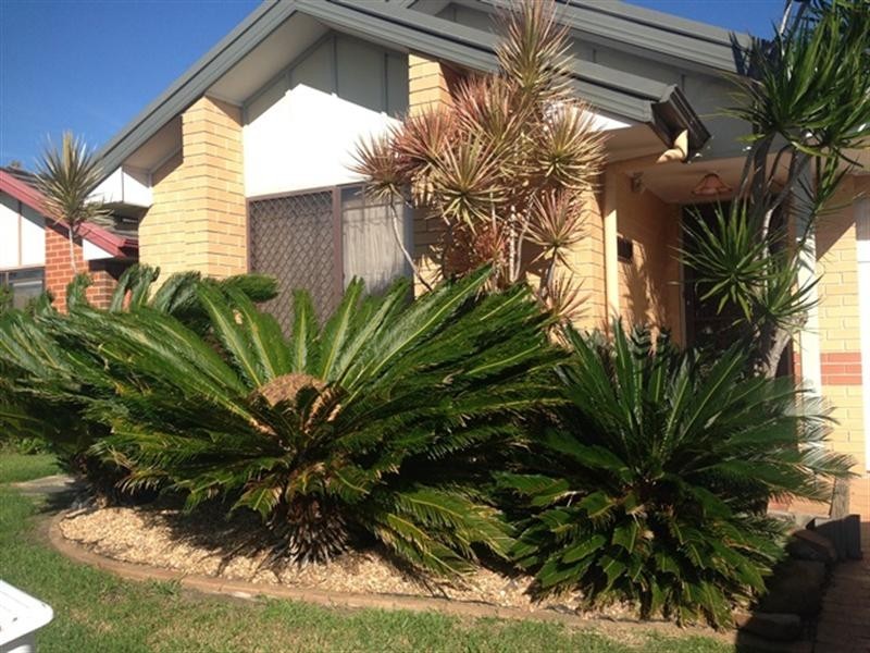8 Gardenia Terrace, Woonona NSW 2517