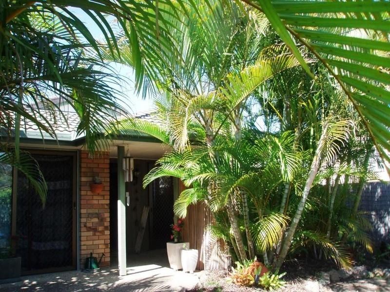 54 Britannia Street, Manly QLD 4179