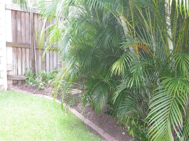 42 Pinnibar Street, Hemmant QLD 4174