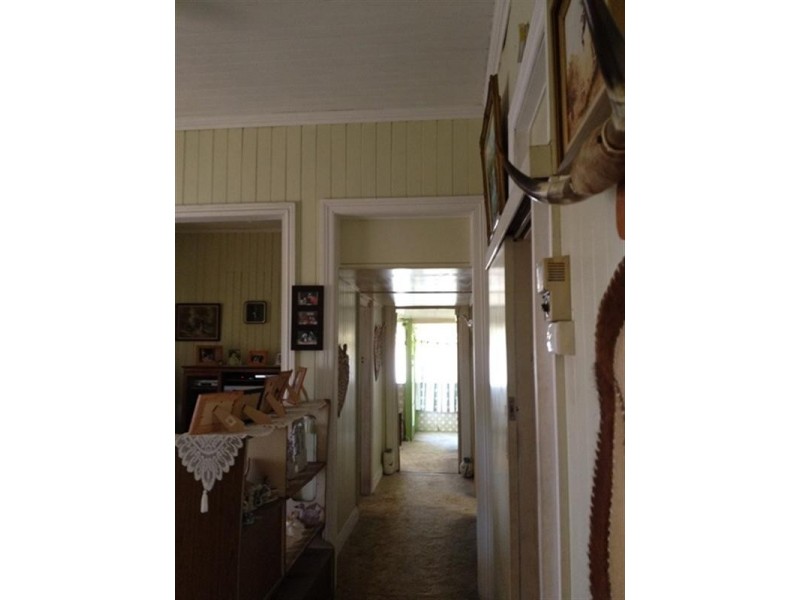 99 Drayton Terrace, Wynnum QLD 4178