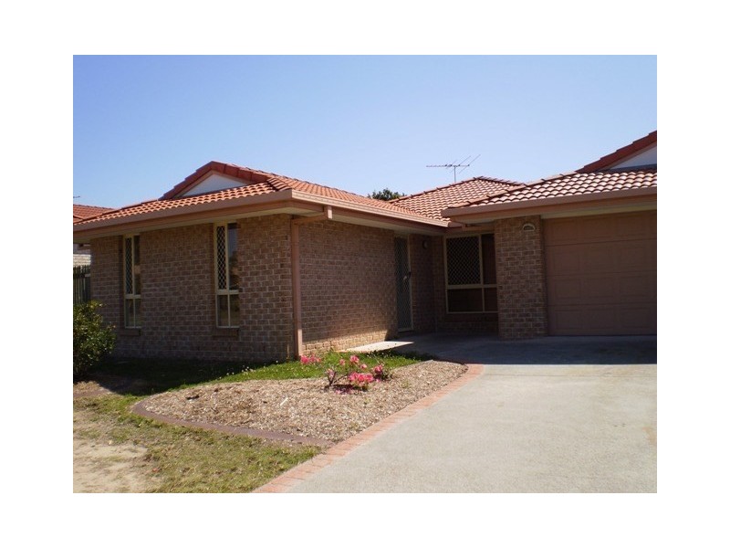 17 Manettia Street, Wynnum West QLD 4178