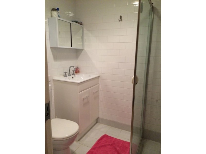 22 Benalla Street, Manly QLD 4179