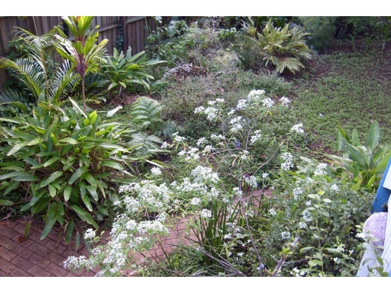 122 Kingsley Terrace, Manly QLD 4179