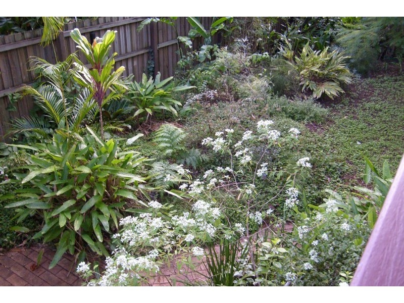 122 Kingsley Terrace, Manly QLD 4179