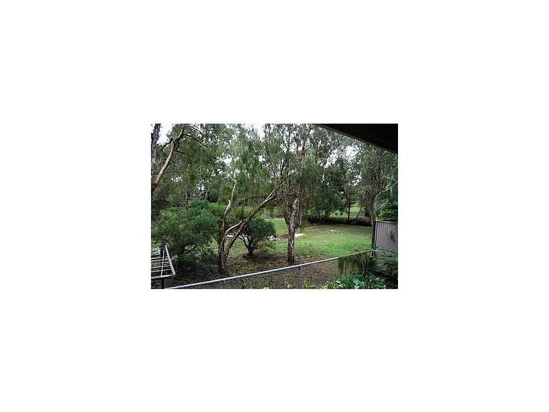 49 Coolana Street, Lota QLD 4179