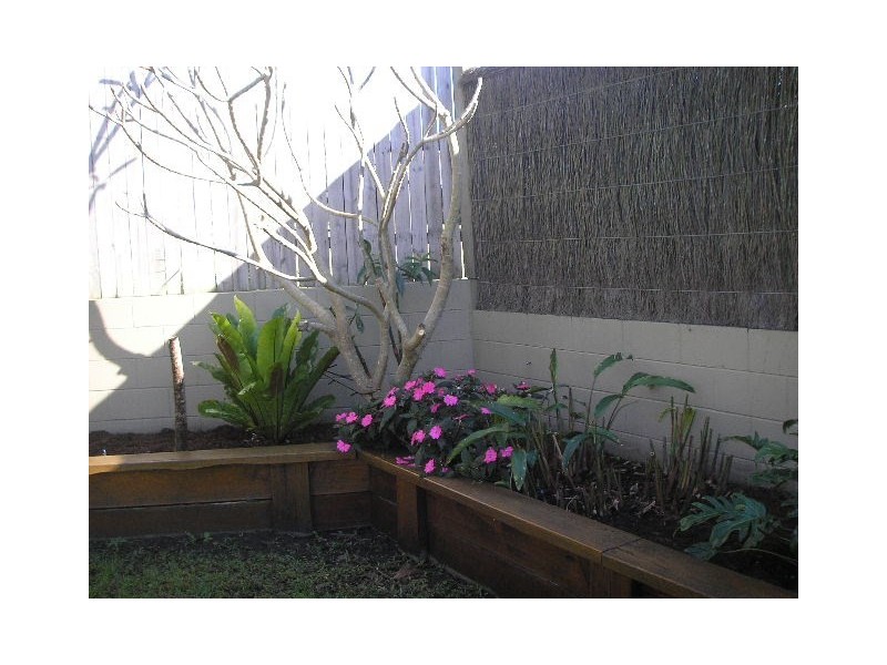 6 Wilfred Street, Lota QLD 4179