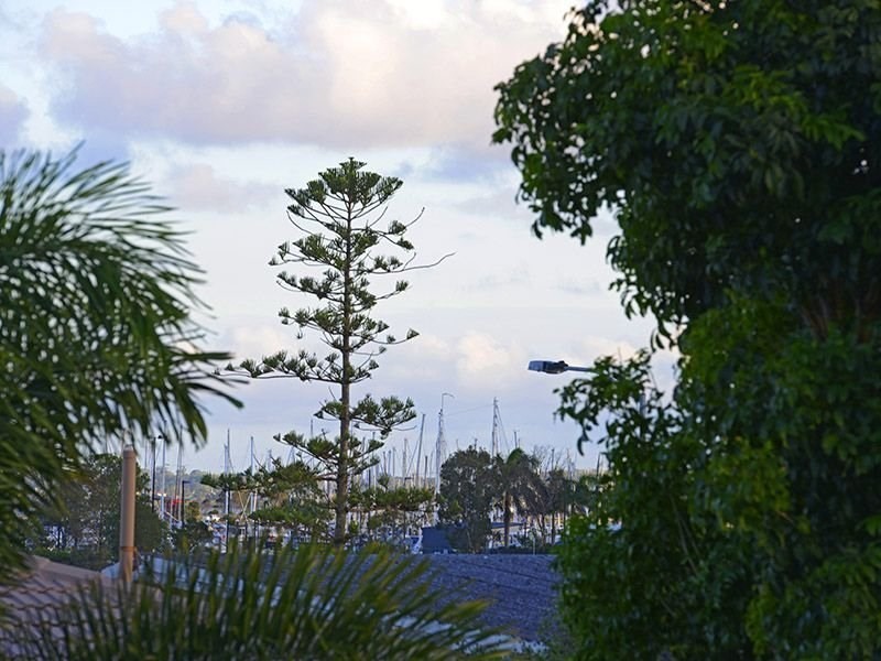 24 Stewart Parade, Manly QLD 4179