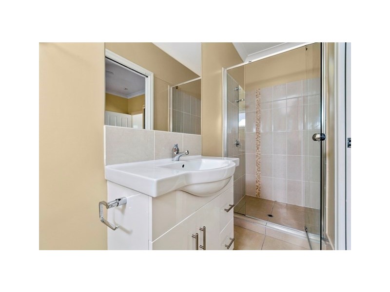 117 Cedar Street, Wynnum QLD 4178