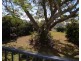 7 Wellington Street, Manly QLD 4179