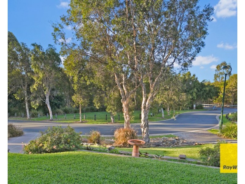 5 Brookside Place, Lota QLD 4179