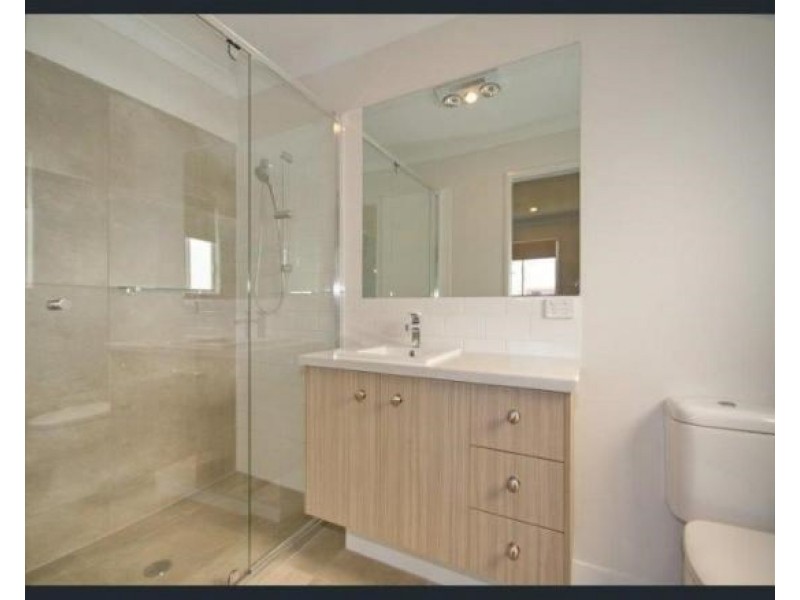 17 Sunflower Street, Wynnum QLD 4178