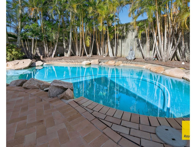 8 Flores Close, Tingalpa QLD 4173