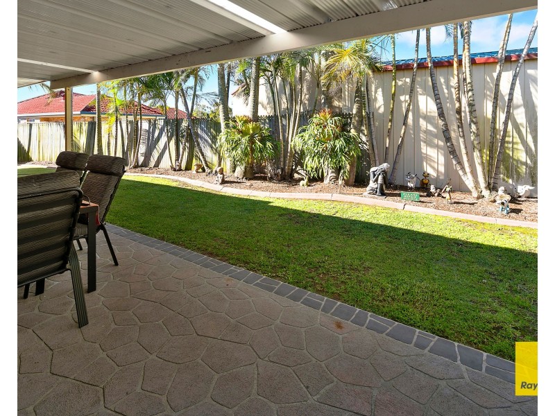 8 Flores Close, Tingalpa QLD 4173