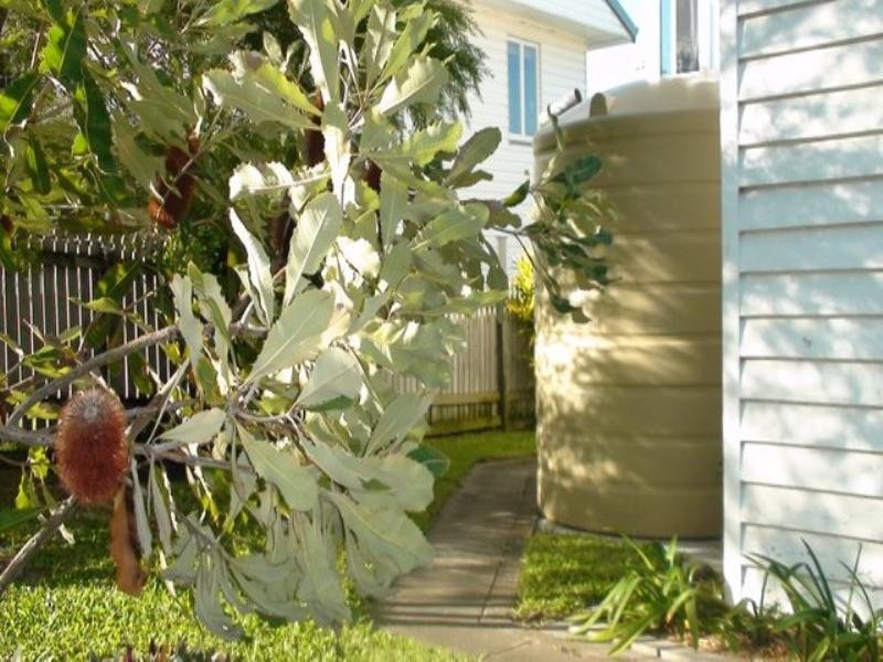 16 Norland Street, Wynnum QLD 4178