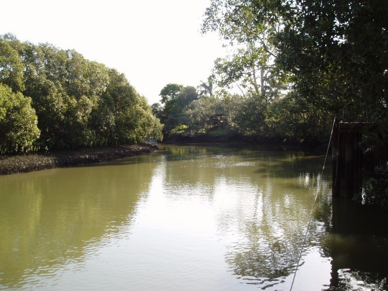 17 Bodalla Street, Norman Park QLD 4170