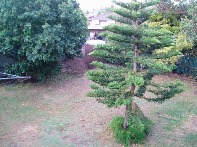 52 Brockworth Street, Wynnum QLD 4178