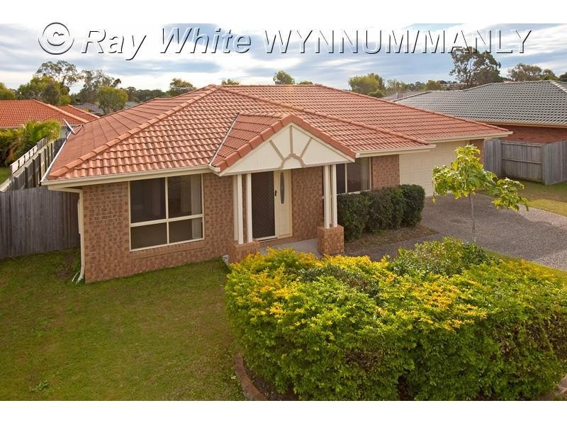 53 Manettia Street, Wynnum West QLD 4178