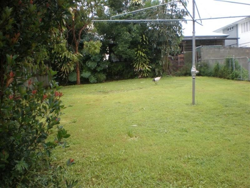 76 Cedar Street, Wynnum QLD 4178