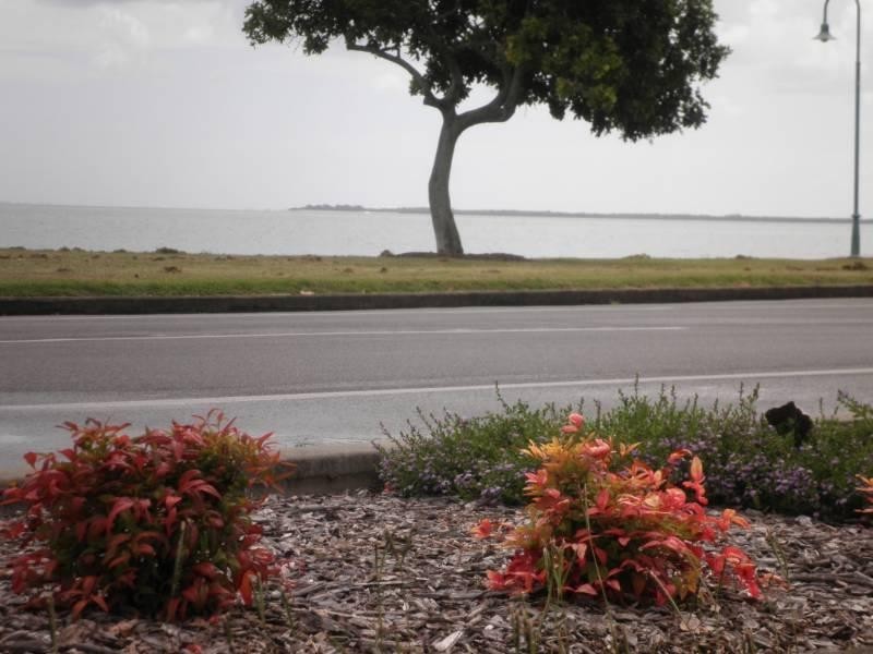 23 Grattan Terrace, Wynnum QLD 4178