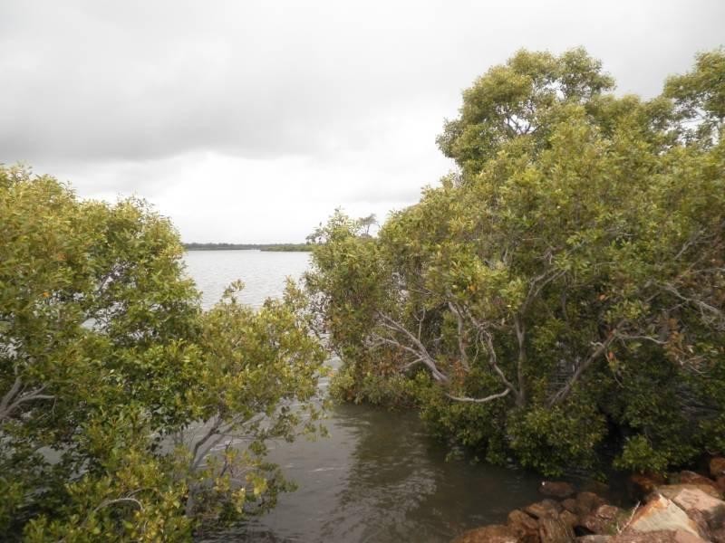 53 Coolana Street, Lota QLD 4179