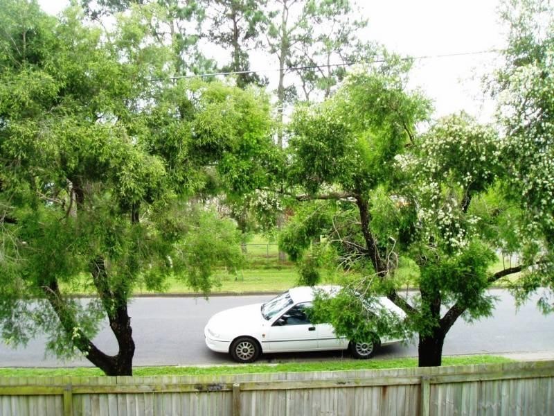 46 Youngs Road, Hemmant QLD 4174