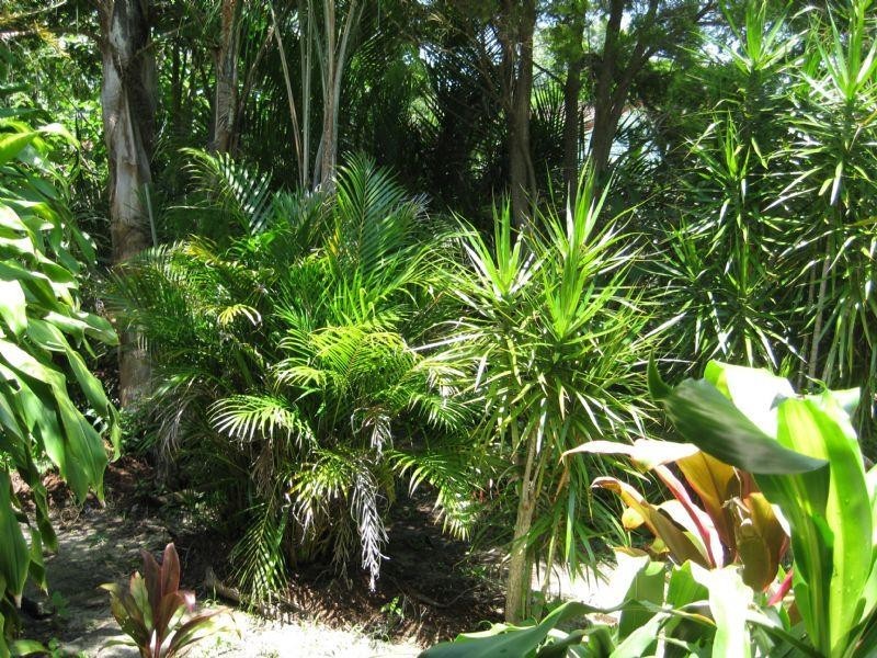 12 Donbeth Street, Wynnum West QLD 4178