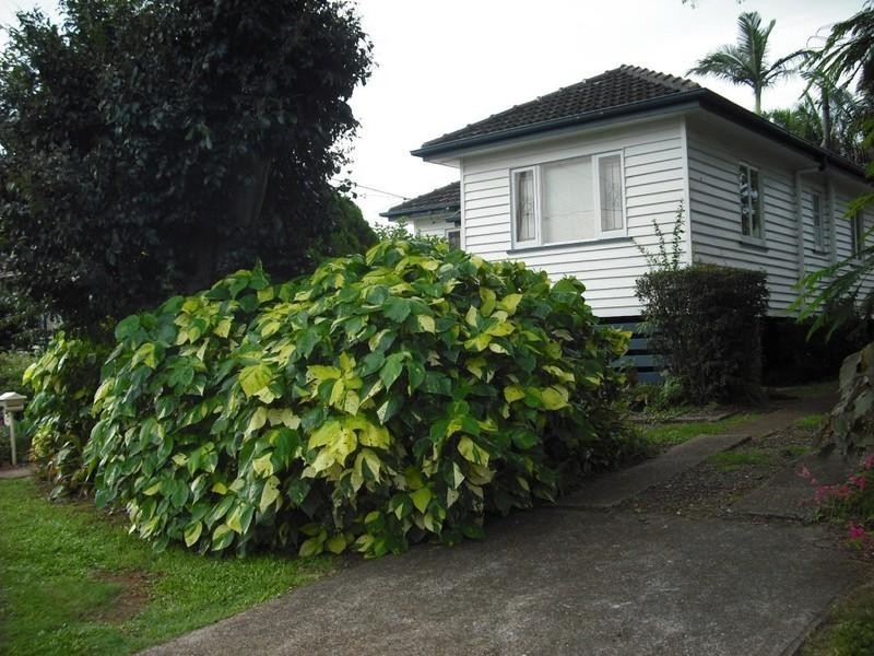 47 Mackenzie Street, Manly West QLD 4179