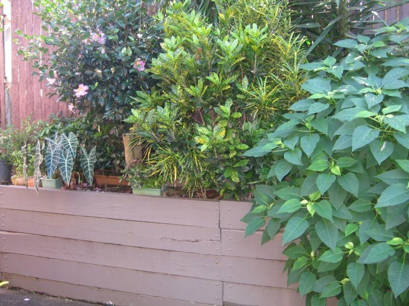 29 Network Drive, Wynnum West QLD 4178