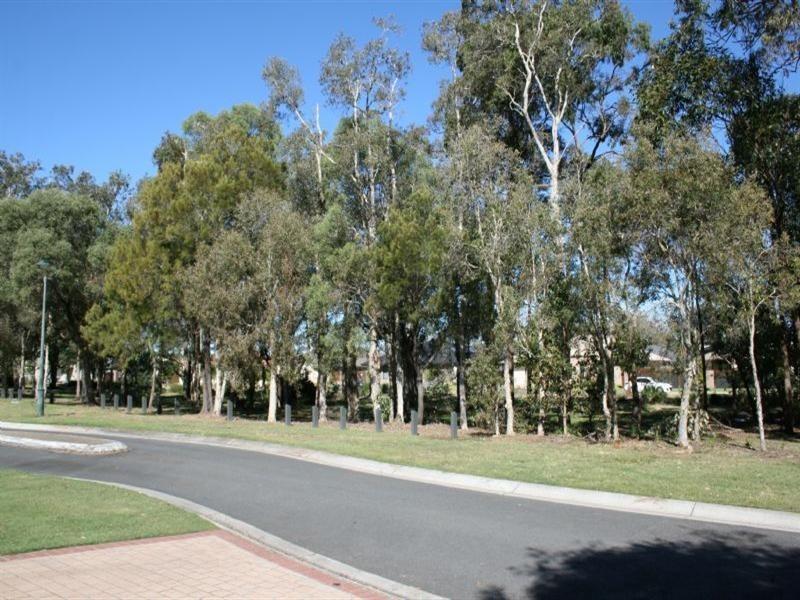 29 Jacaranda Street, Wynnum West QLD 4178