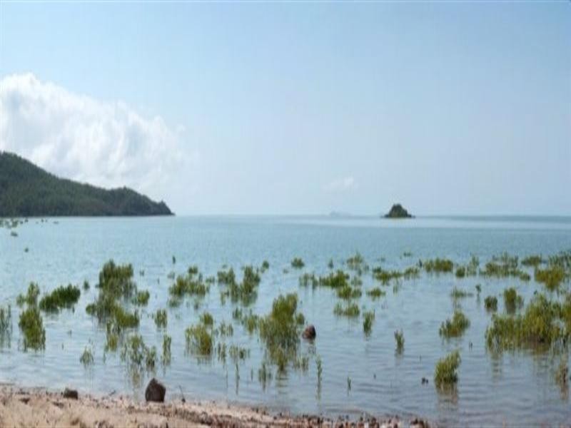 Lot 171 Allan Road, Conway Beach QLD 4800