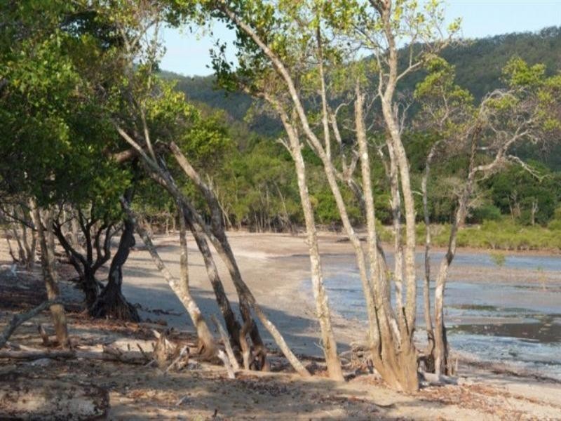 Lot 171 Allan Road, Conway Beach QLD 4800