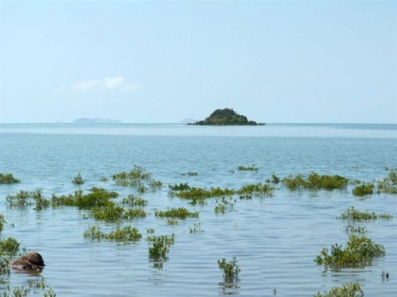 Lot 171 Allan Road, Conway Beach QLD 4800