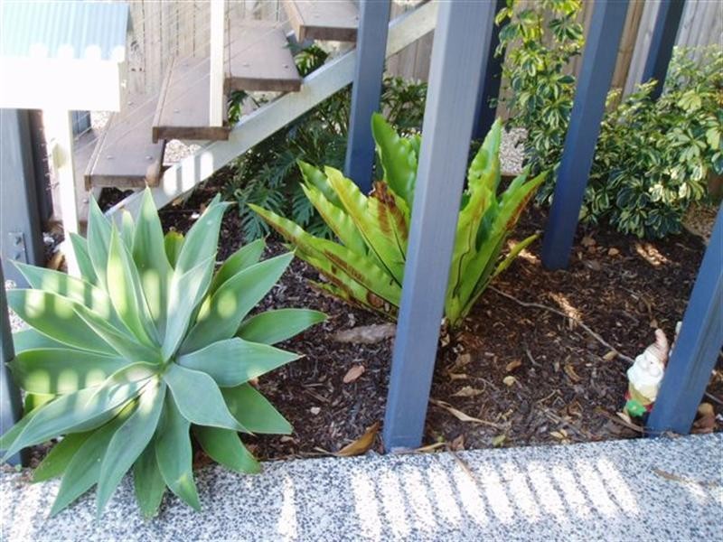 104 Gordon Parade, Manly QLD 4179