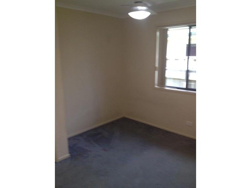 29 Macadamia Street, Wynnum West QLD 4178