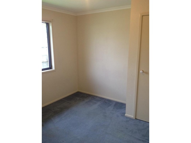 29 Macadamia Street, Wynnum West QLD 4178
