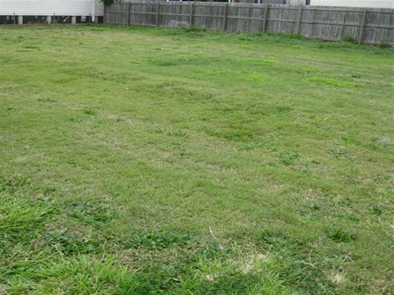 46 Alkoomie Street, Wynnum QLD 4178