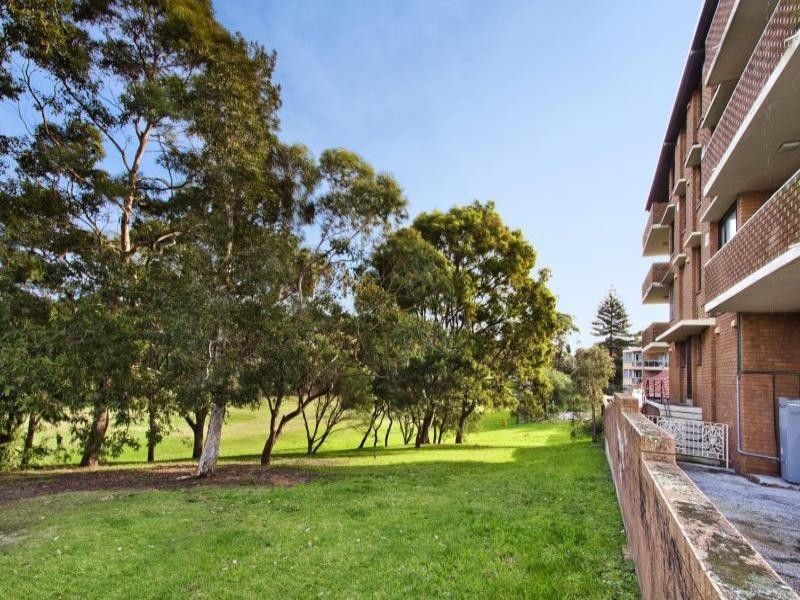 29 Leichhardt Street, Waverley NSW 2024