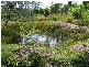 146 Arnolds Road, Byfield QLD 4703