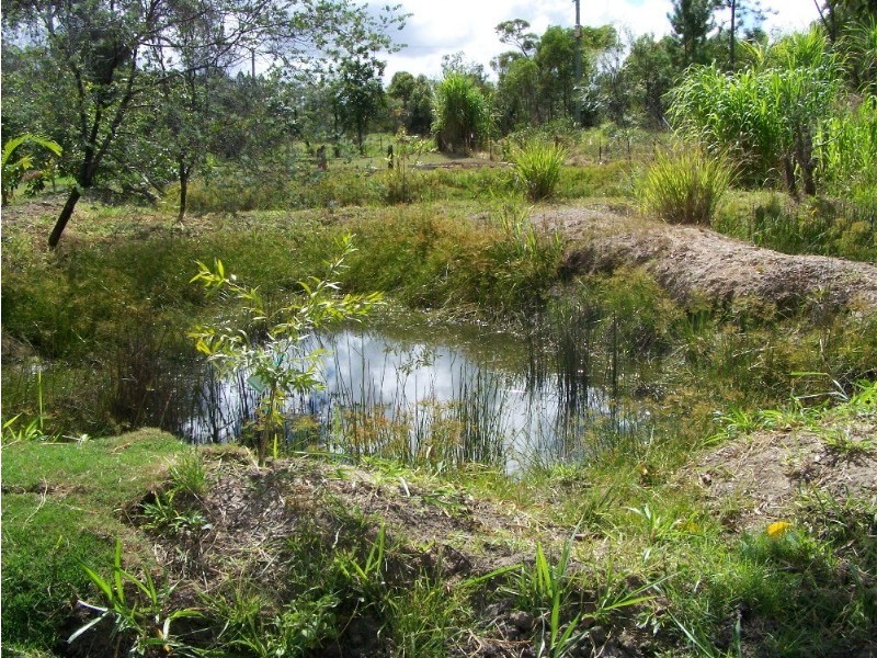 146 Arnolds Road, Byfield QLD 4703