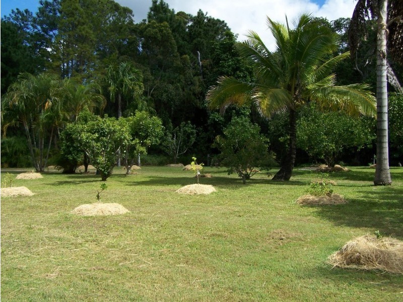 146 Arnolds Road, Byfield QLD 4703